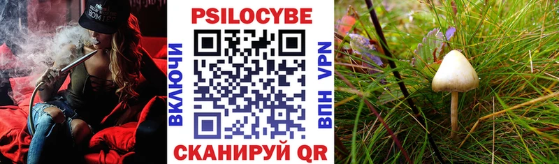 Купить где  Плёс  Галлюциногенные грибы ЛСД 